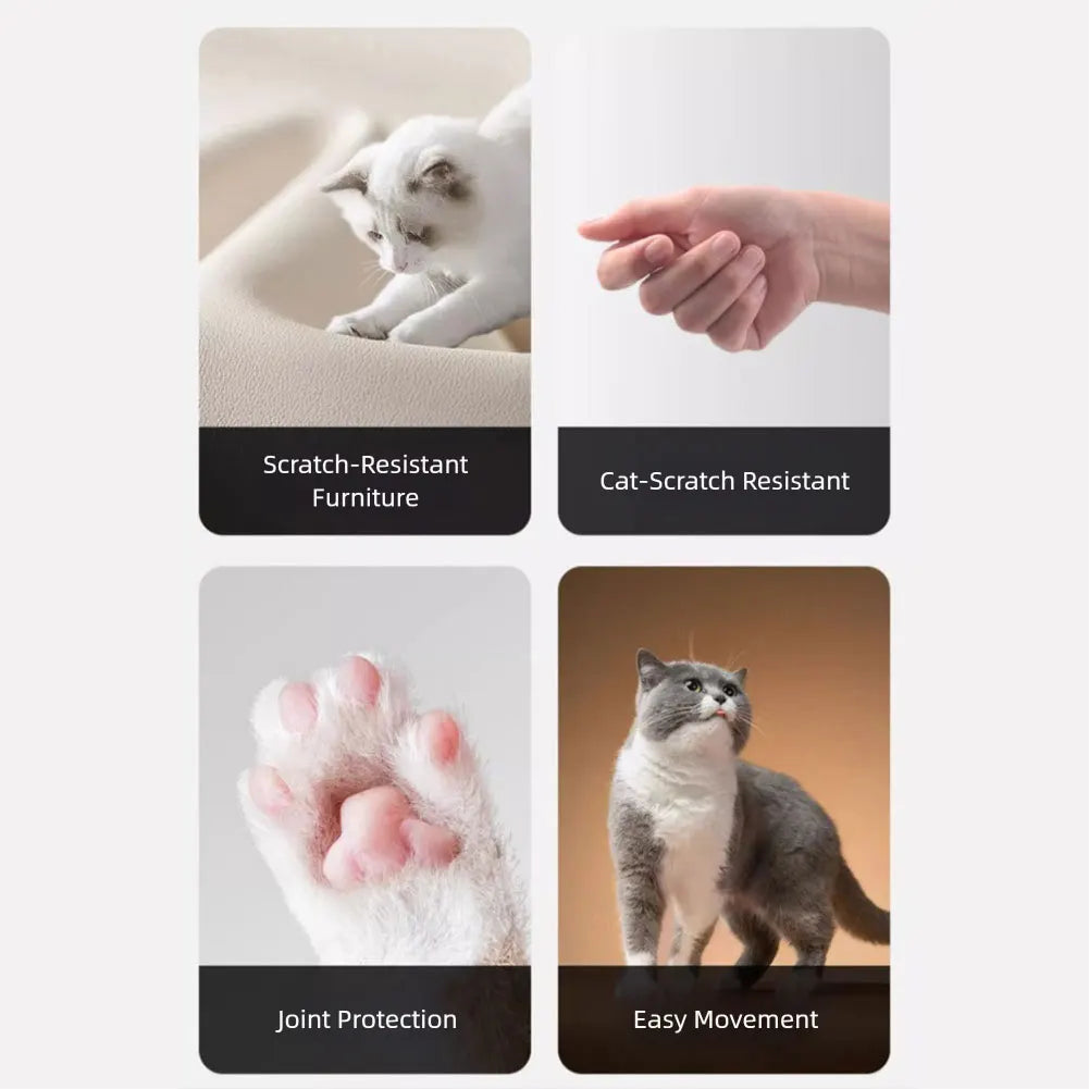 PawQuiet Pro image 3
