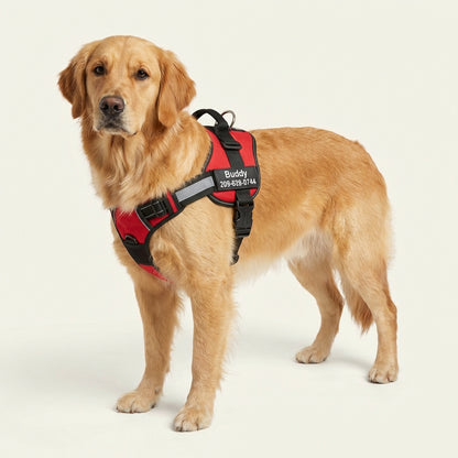 HaloTag Harness image 1